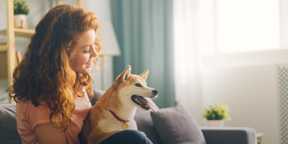 A refreshing new vet experience starts here